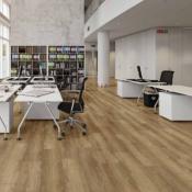 SPC CONTEMPORAIN