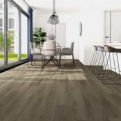 SPC CONTEMPORAIN